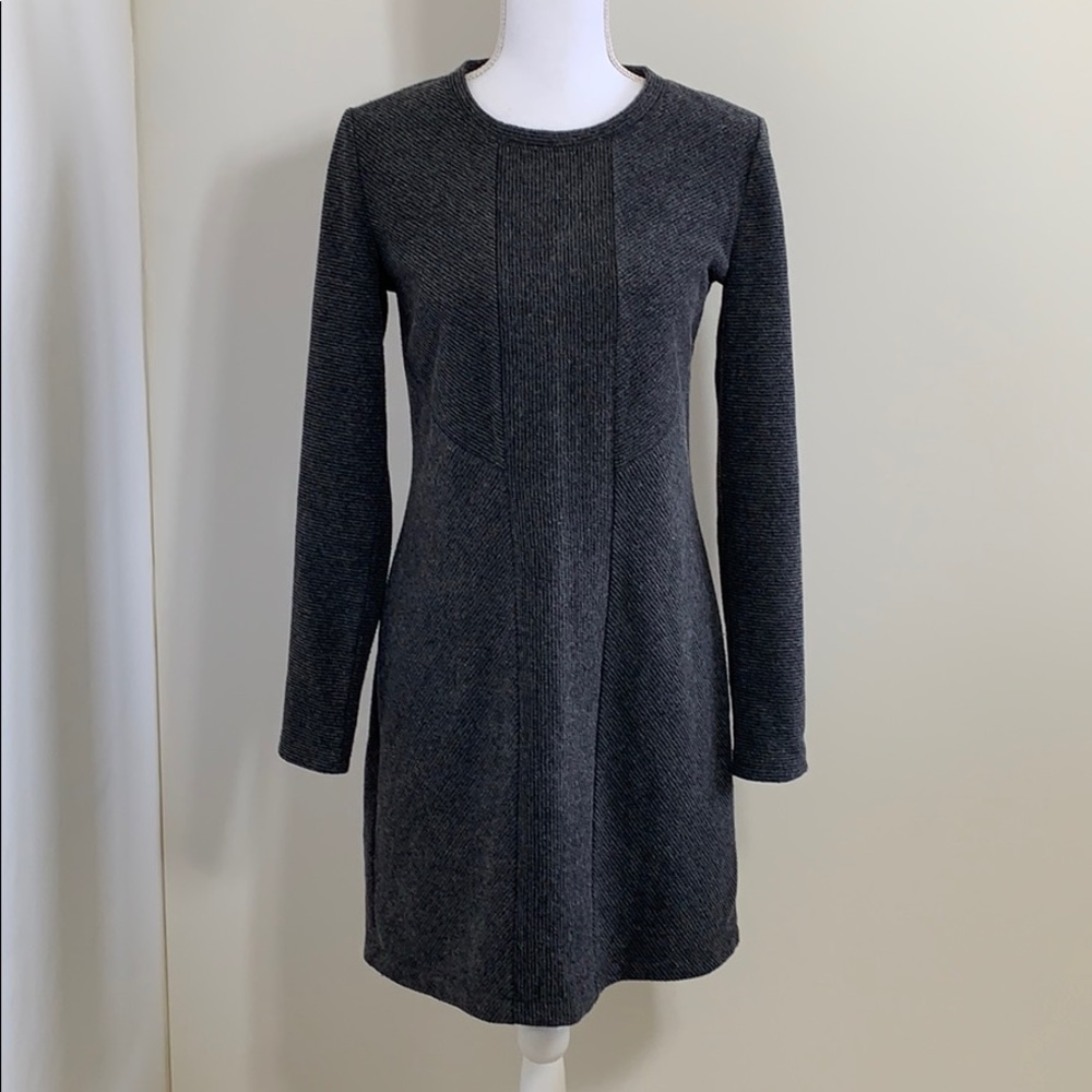 Ann Taylor Loft Long Sleeved Winter Dress